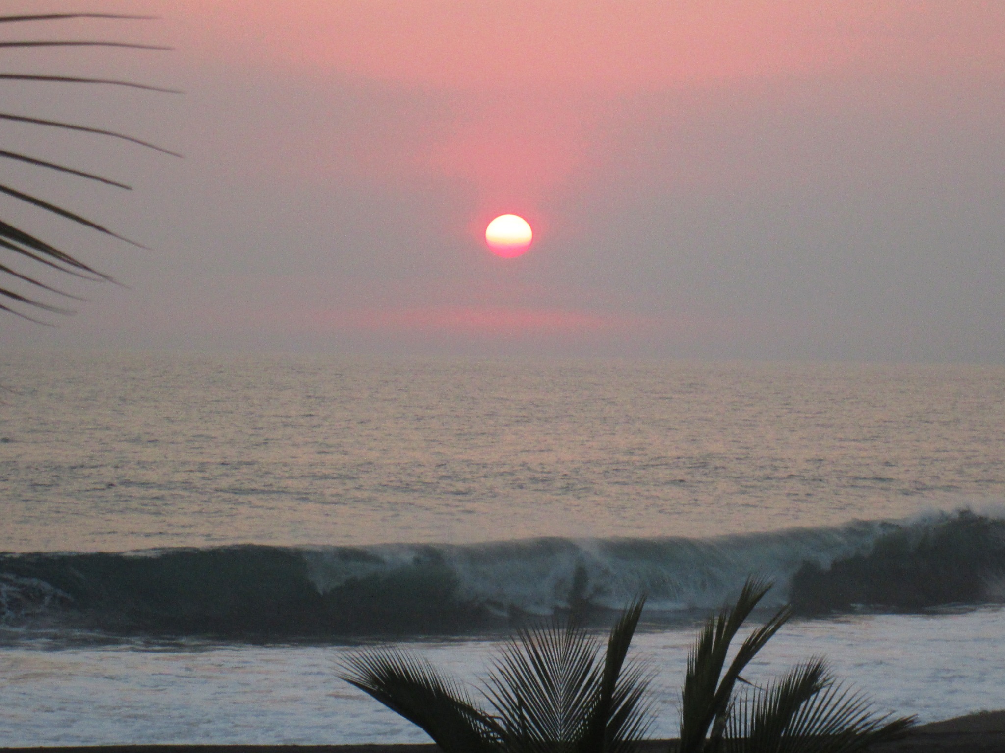 Atardecer del Pacífico enmarcado por palmeras