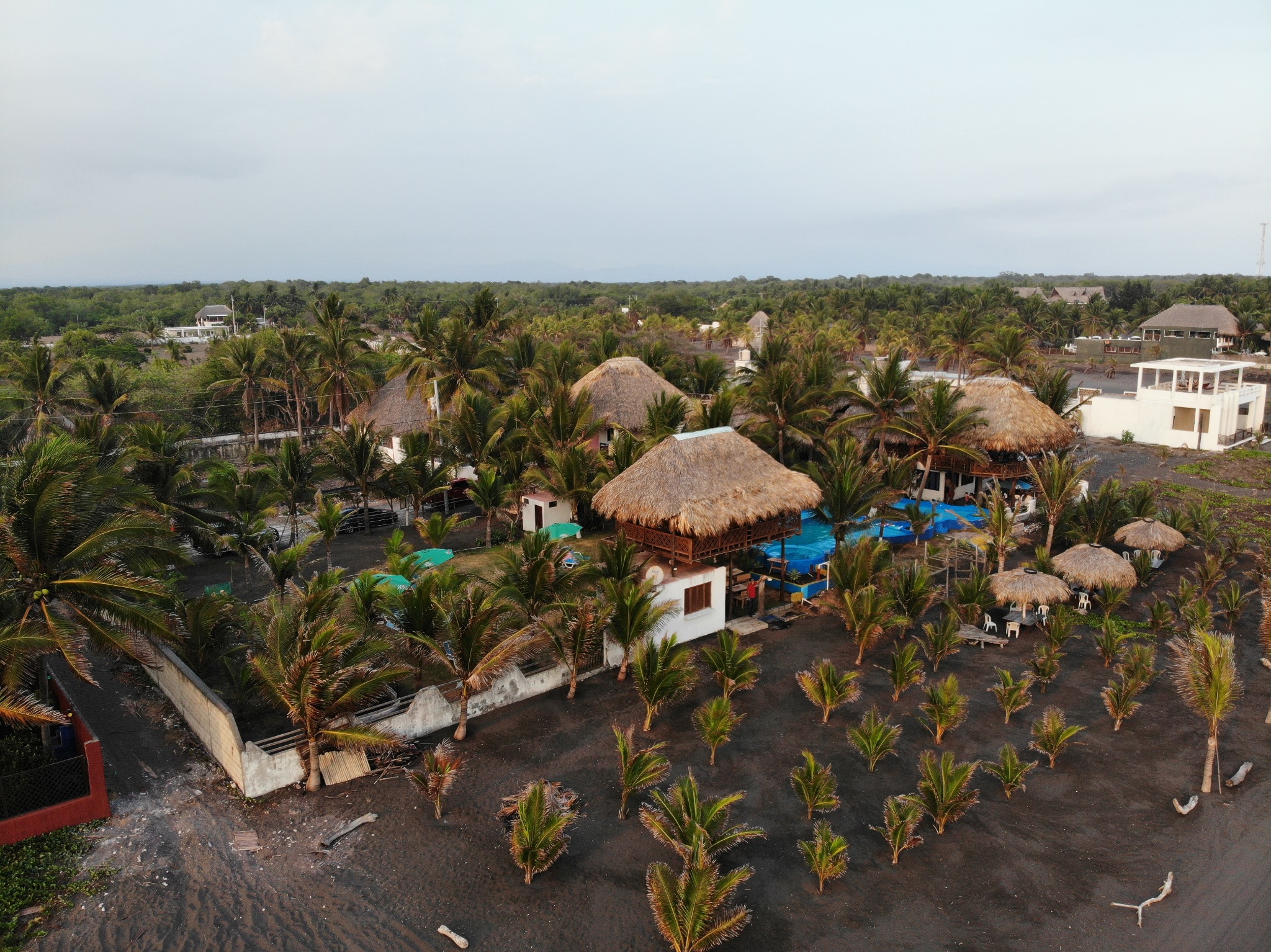 Vista aérea histórica del conjunto de edificios y palmeras de Marbella Eco Lodge